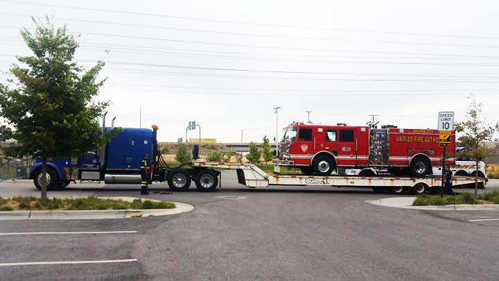 bullocks towing transporting heavy equipment